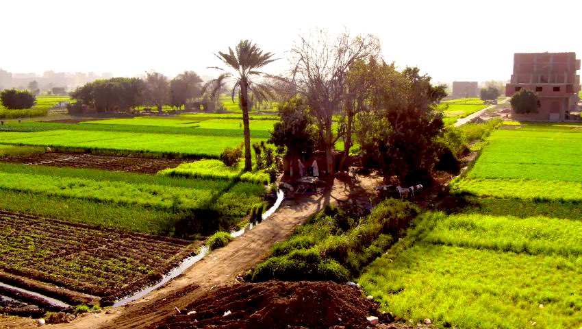 بوابة ريف تسجيل الدخول للاسر المنتجة